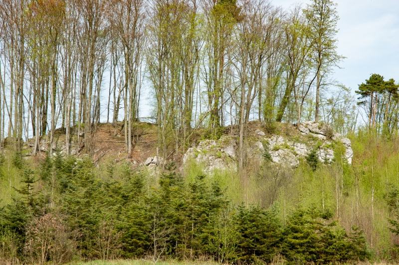 _DSC8675_1