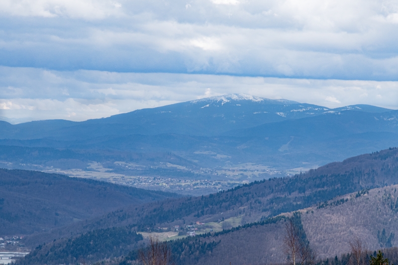 _DSC8688_1