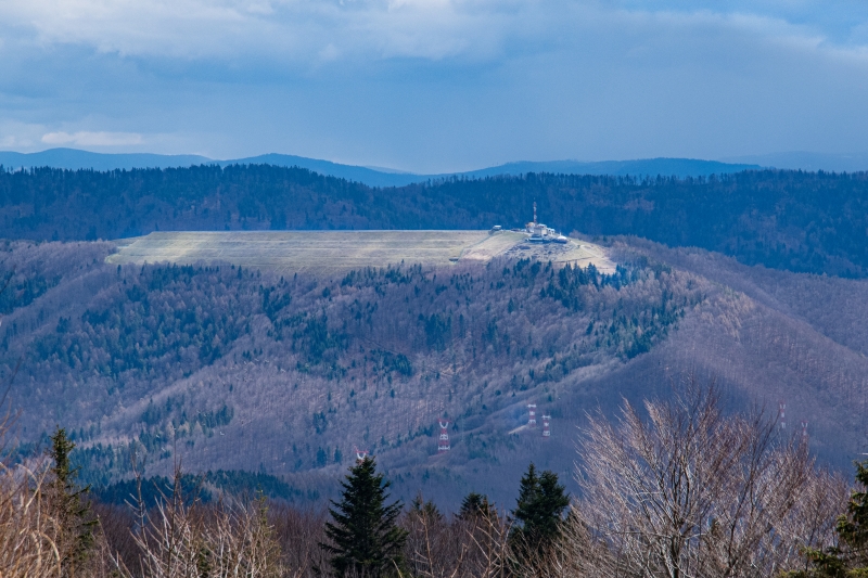 _DSC8695_1