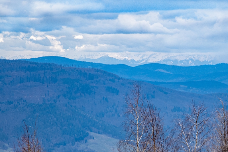 _DSC8701_1
