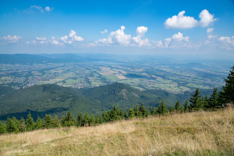 _DSC8730_1