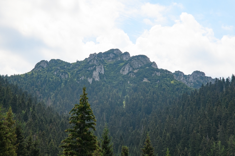 DSC_6341_1
