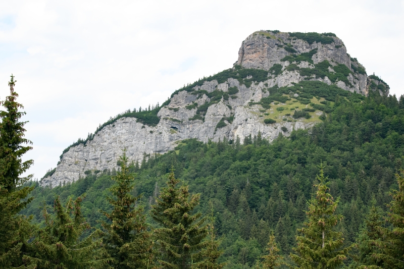 DSC_6388_1