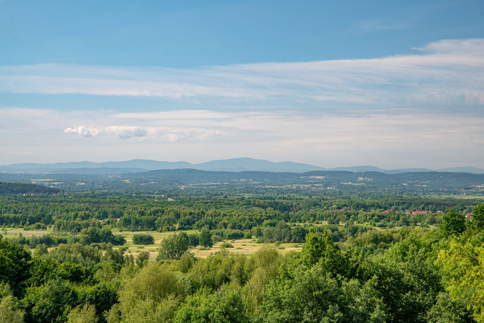Dolina-Minkowska_004