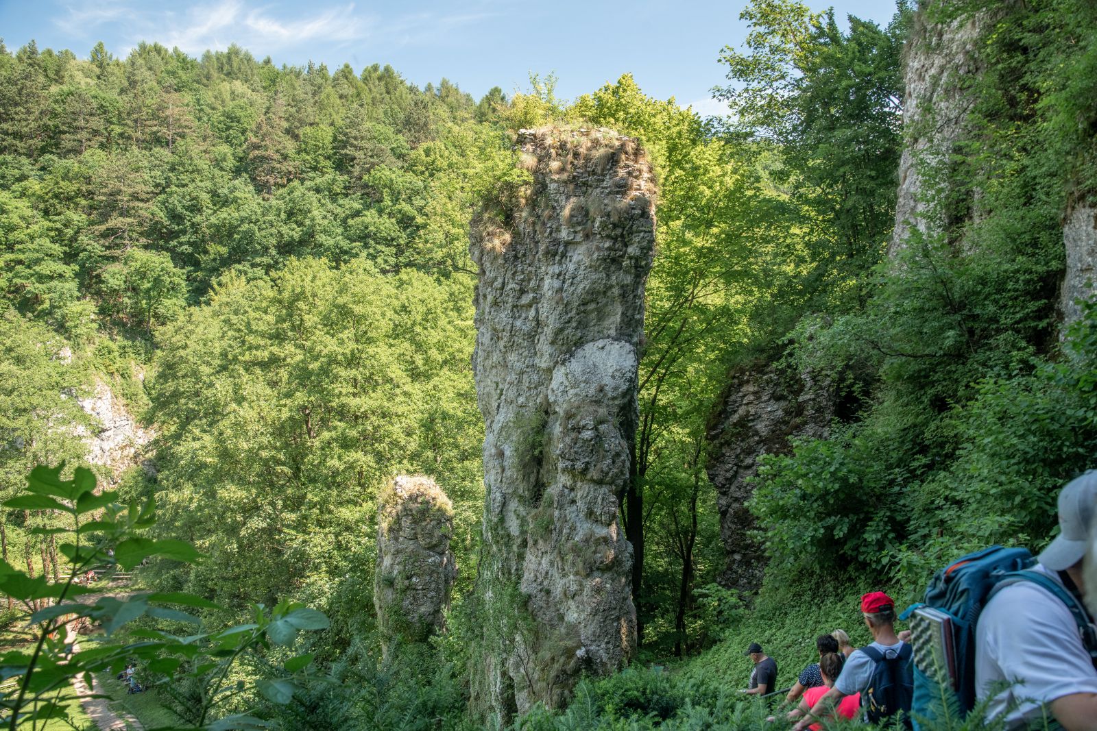 Dolina-Minkowska_010