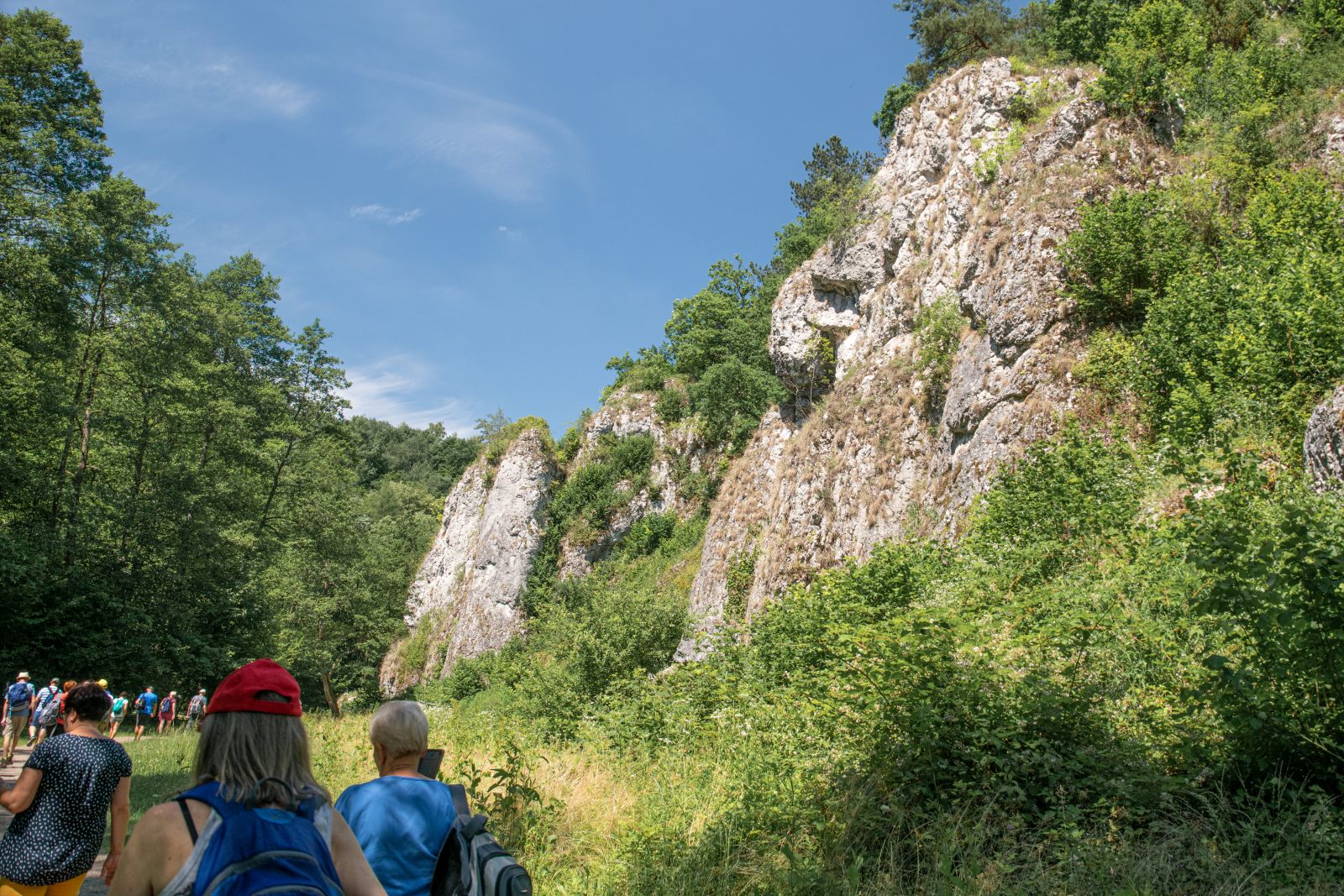 Dolina-Minkowska_013