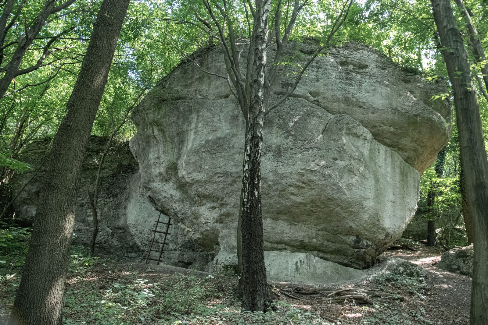 Dolina-Minkowska_018
