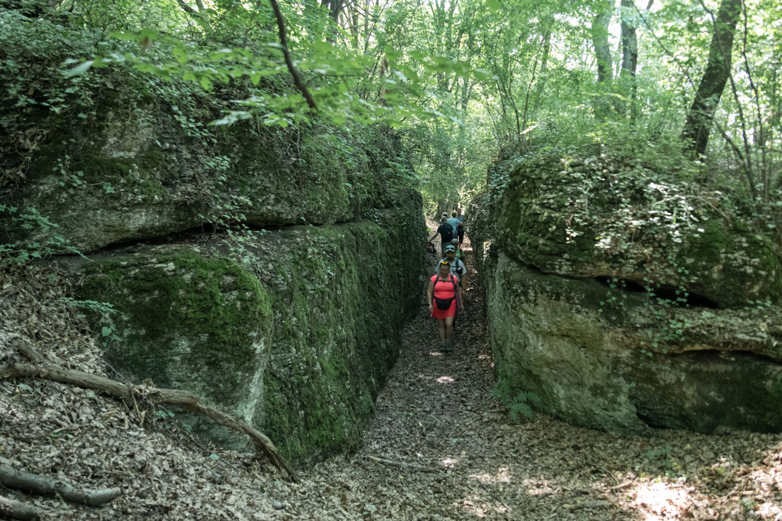 Dolina-Minkowska_019