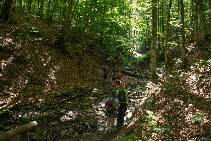 bieszczady_16