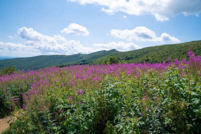 bieszczady_7