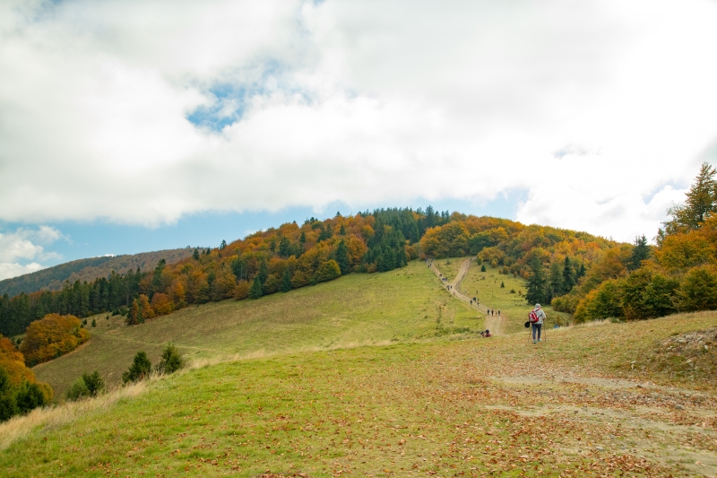 foto_16_1