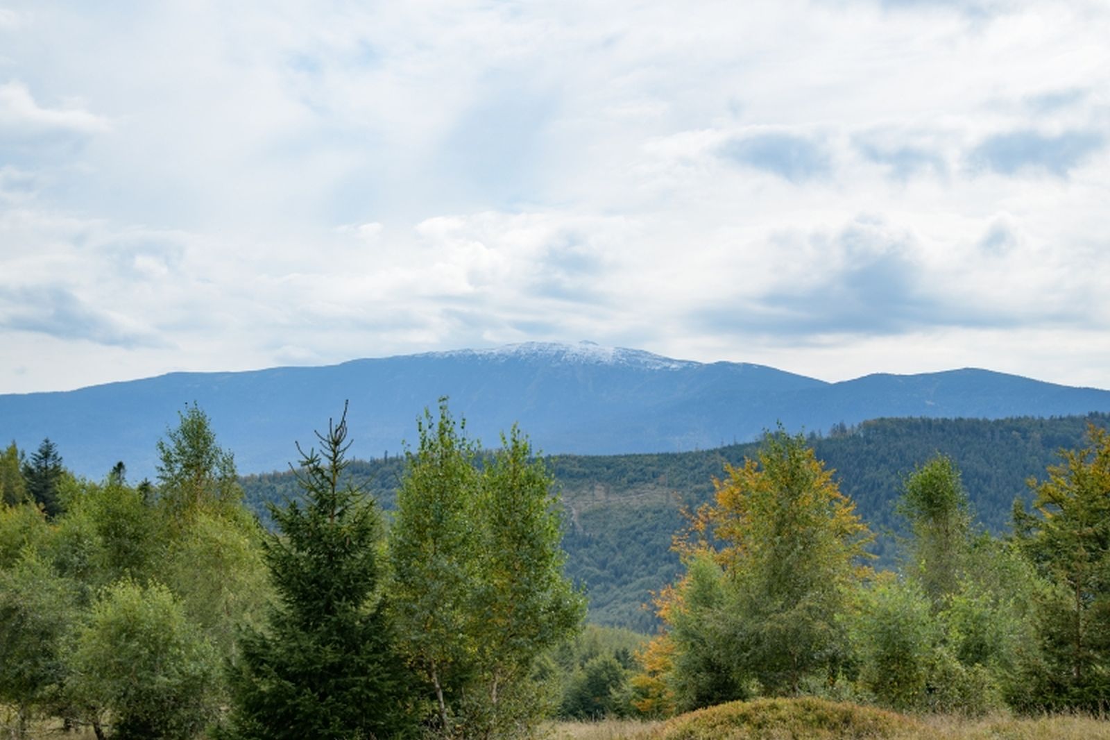 modralowa014