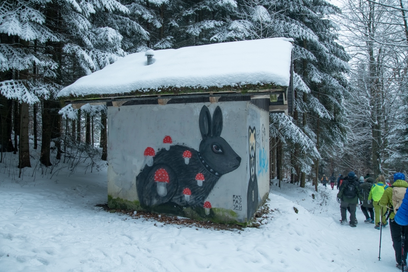 Trzykopce 16