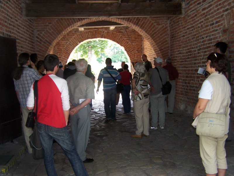 bobrek-czworaki-01-2019