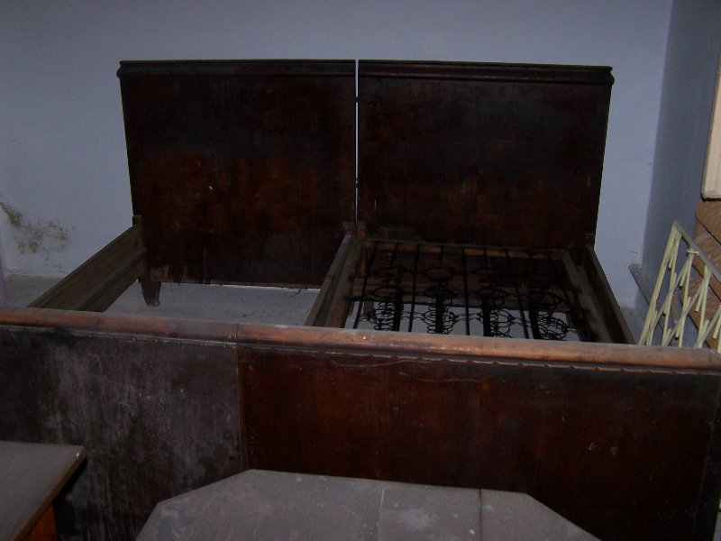 bobrek-czworaki-03-2019