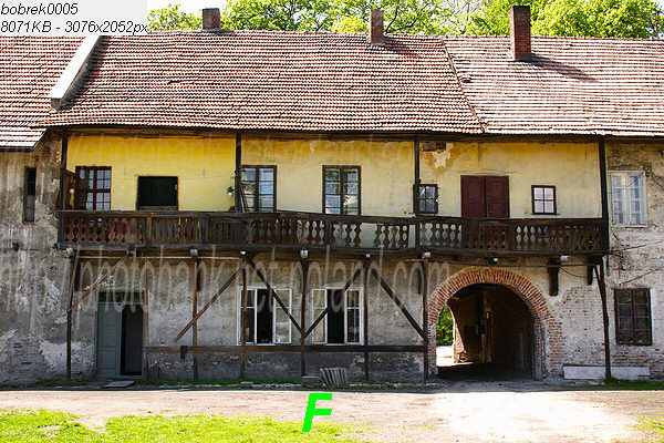 bobrek-czworaki-04-2019