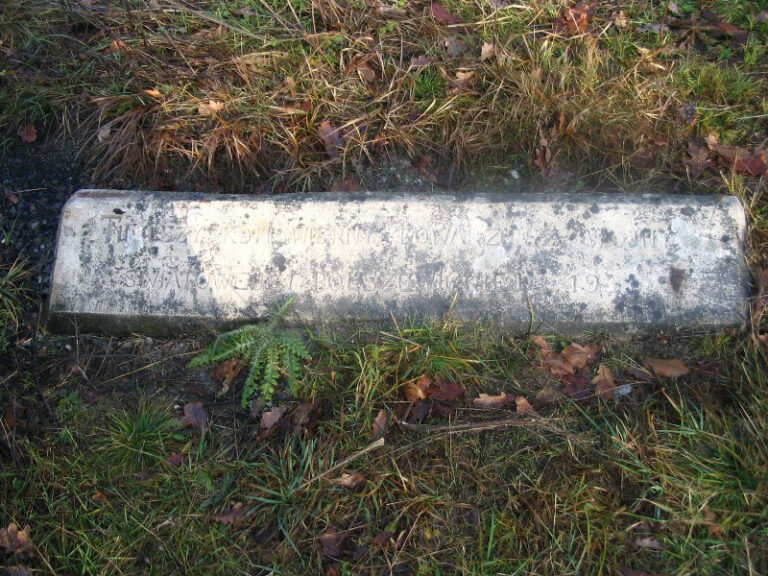 pomniki pomnik konia w bobrku