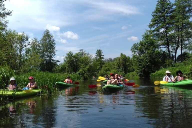 wyjazd studyjny 95 foto 08 19