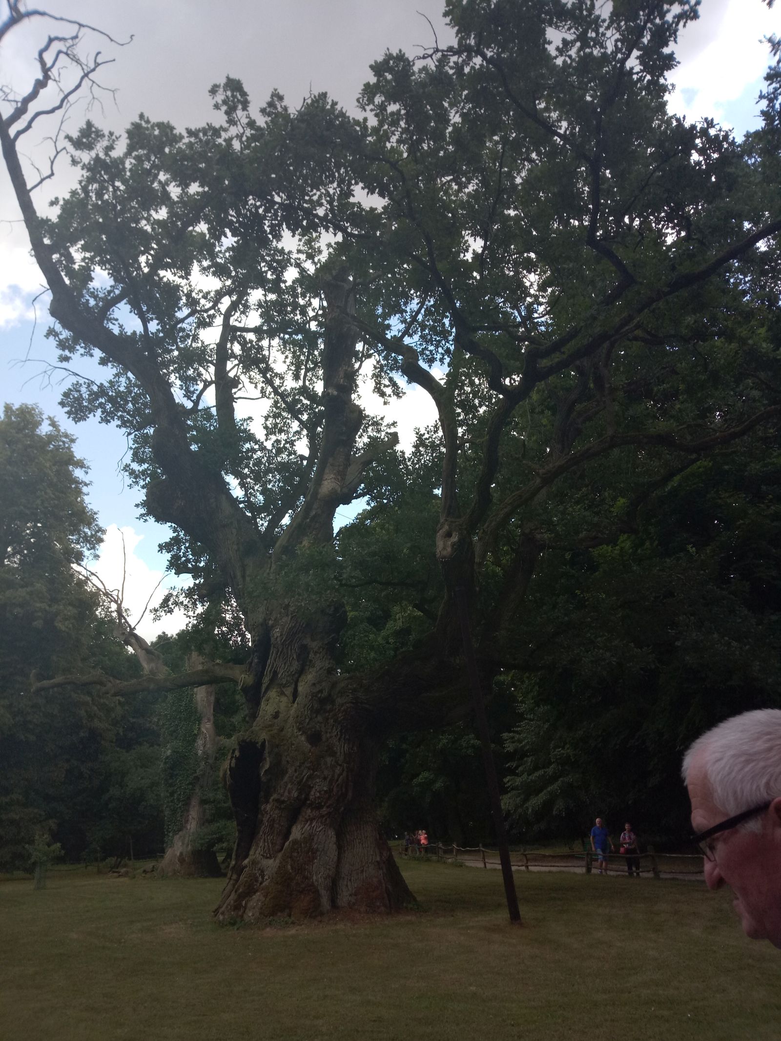 Poznan_Gniezno_Biskupinl5