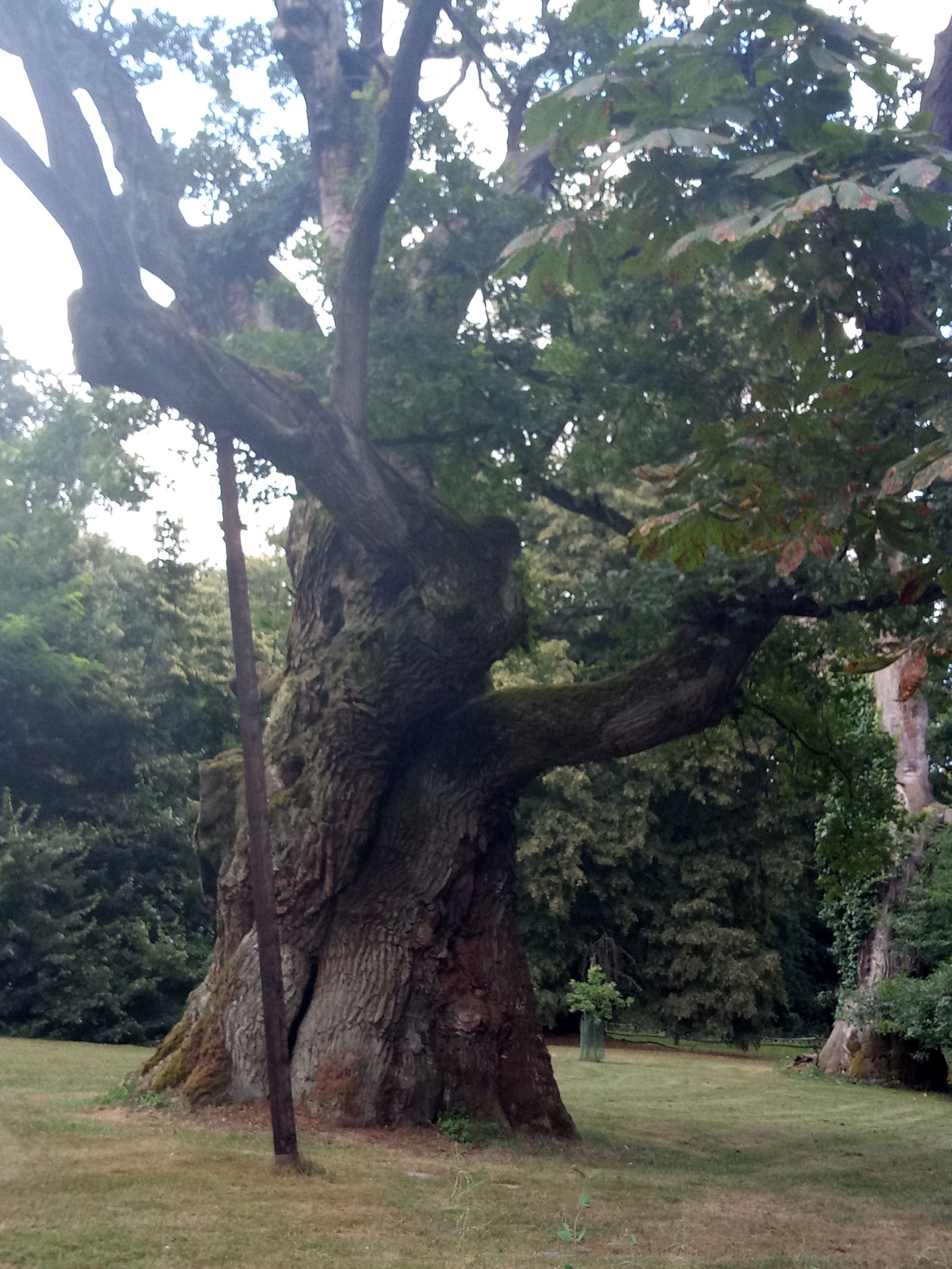 Poznan_Gniezno_Biskupinl6