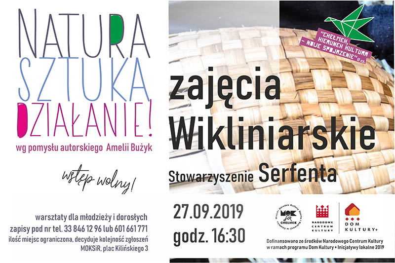 zajecia wikliniarskie baner MALE