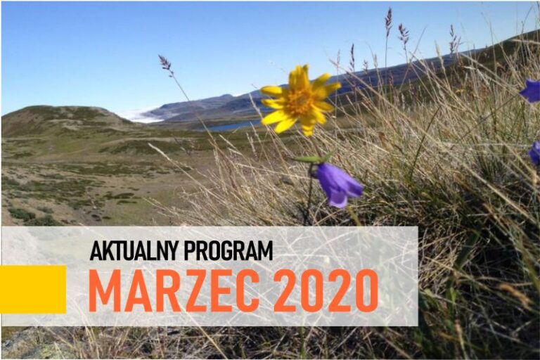 aktualny program 03 20