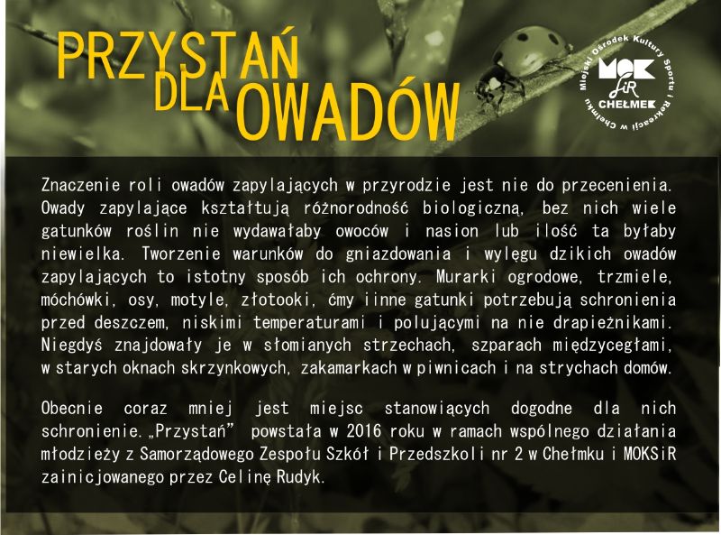 przystan dla owadow 08 20