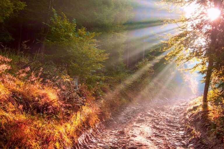 nordic walking 10 20