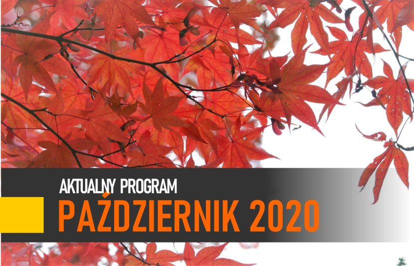 aktualny program 10 20