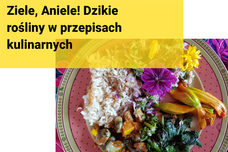 zielnik kucharska 12 20