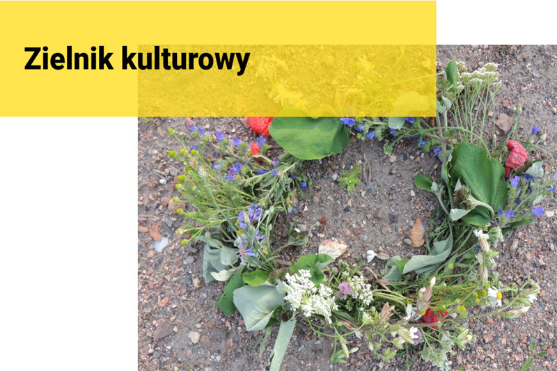 zielnik kulturowy publikacja 12 20