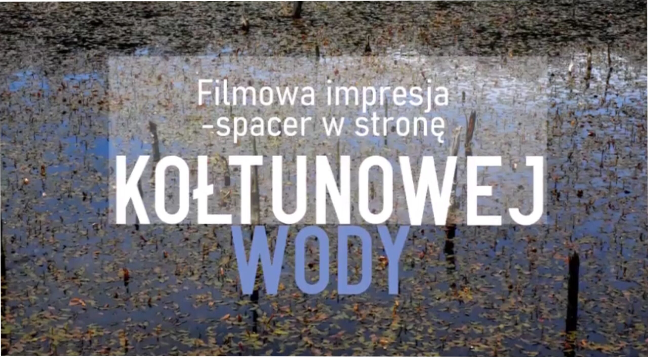 napis kołtunowa woda na tle jeziora