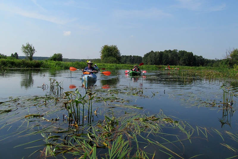 ludzie płynący na kajakach-zdjęcie