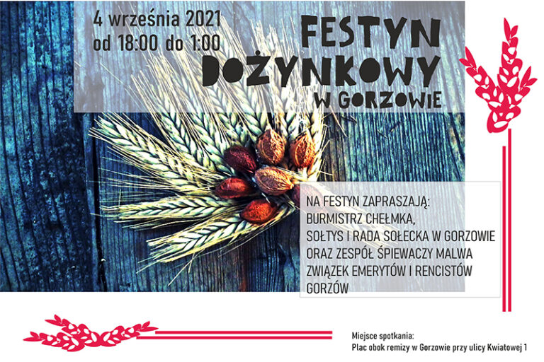 bukiet zbórz na niebieskim tleFESTYN baner male