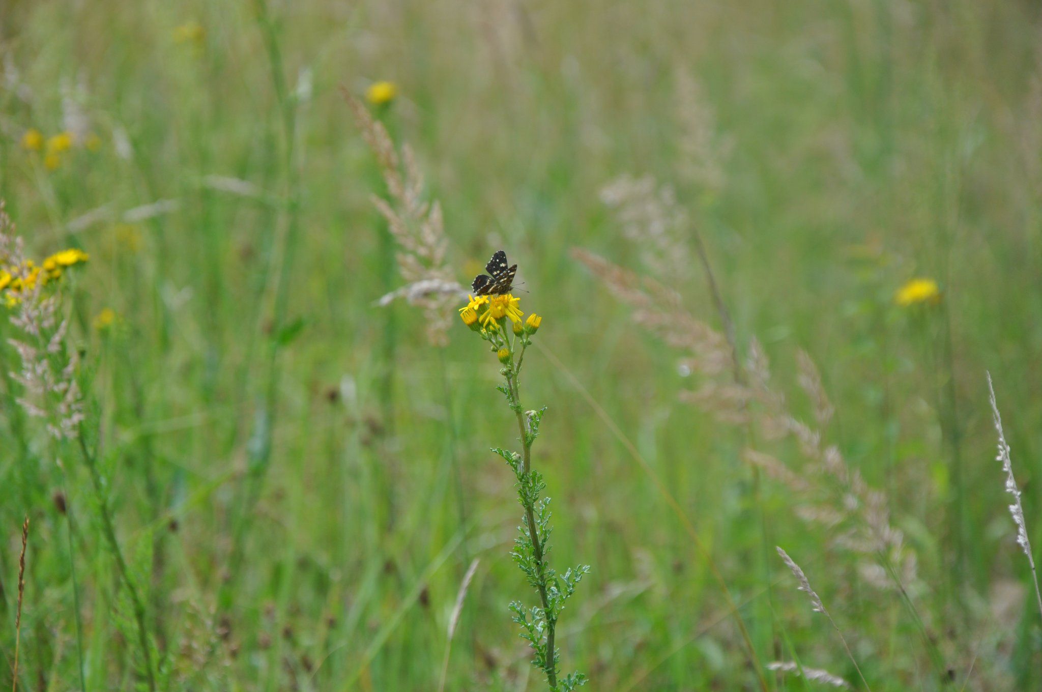 292384218_2434186096743747_8992888286963369136_n