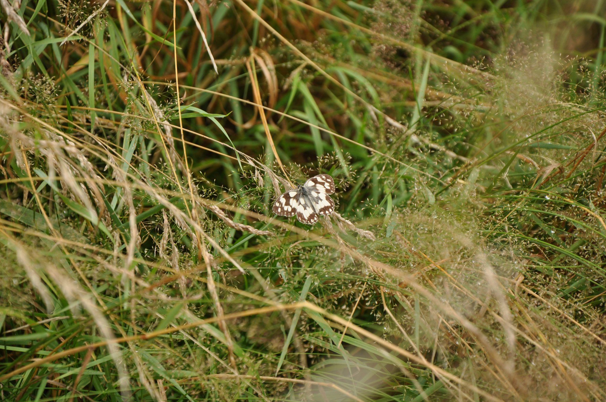 292392493_2434185693410454_1905646439671716728_n