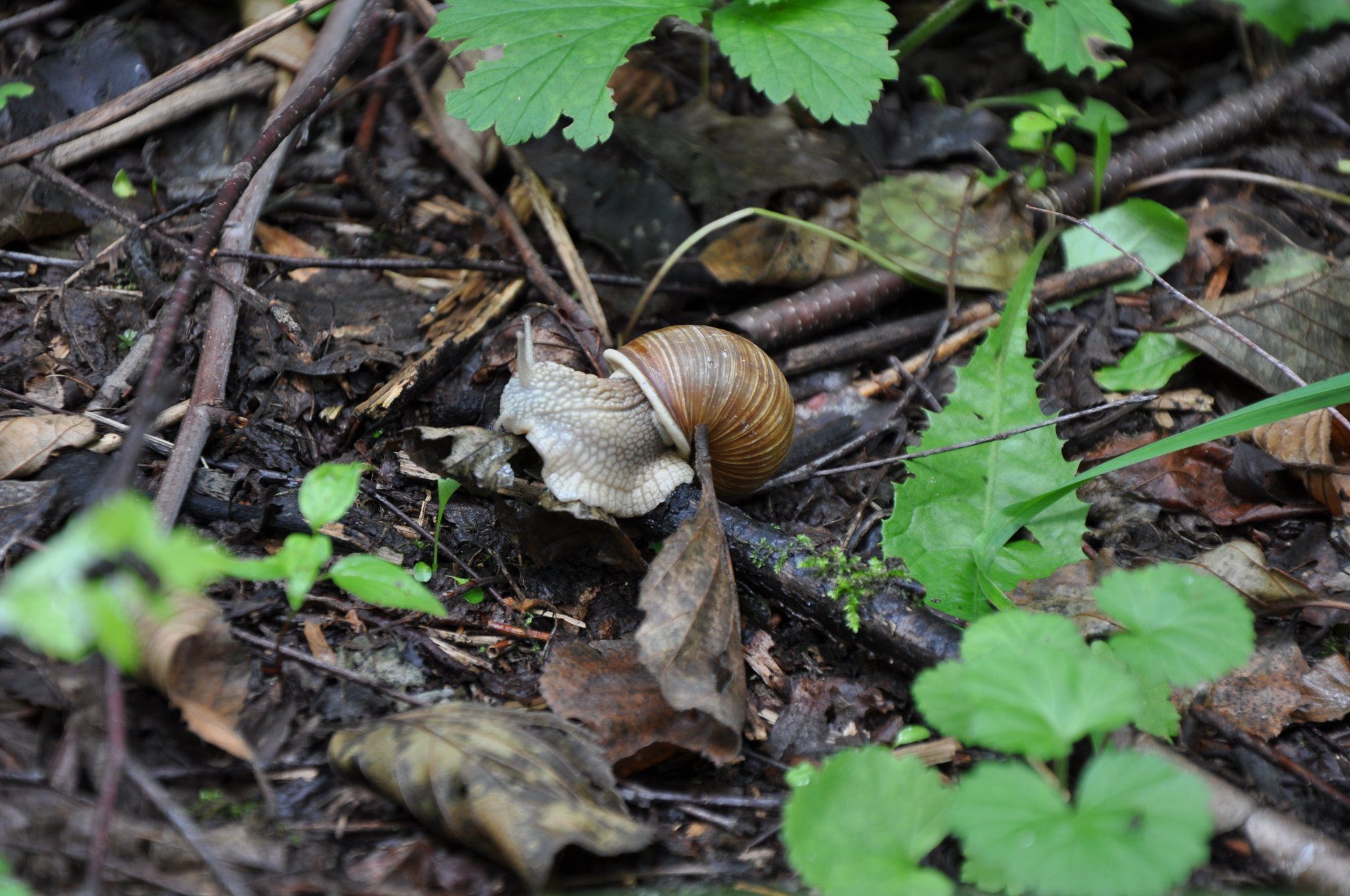 292434078_2434185910077099_3730626507873269023_n