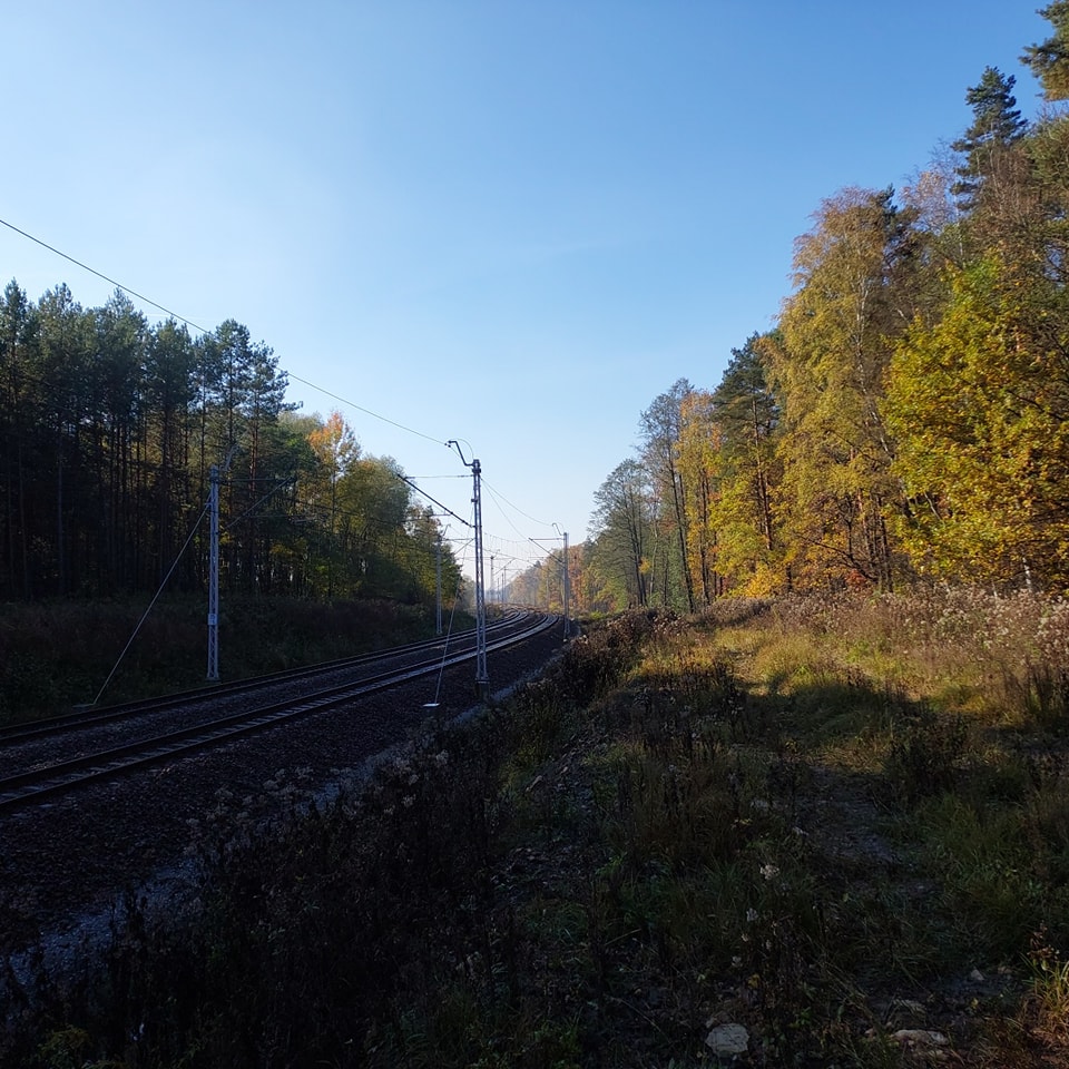 311671539_487735033389787_6218059686922357418_n