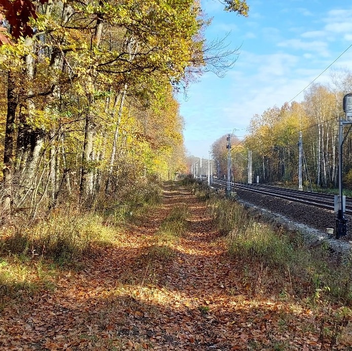 311790496_487735816723042_4414133031986977245_n