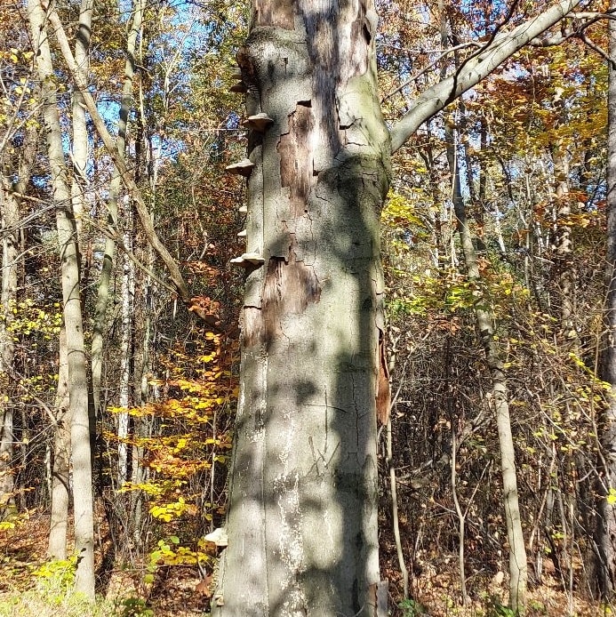 311834080_487735380056419_8176117935859323019_n