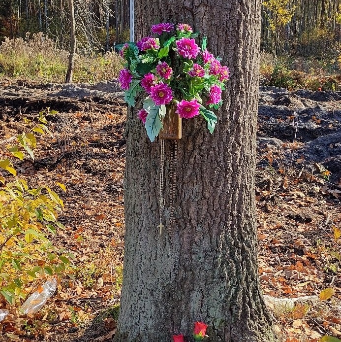 311909542_487735566723067_2356325969412404814_n