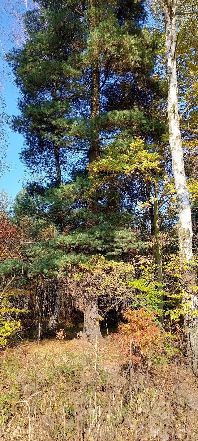 312180365_487734903389800_1463035920923094567_n