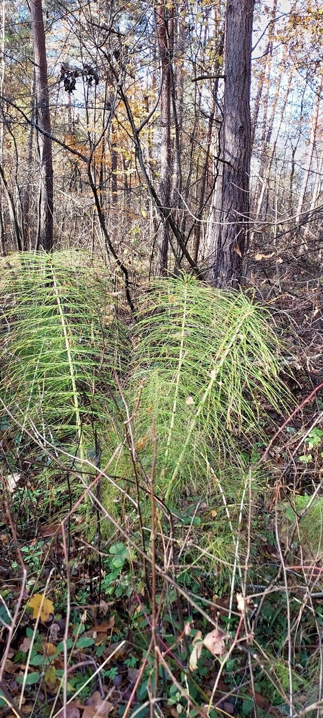 312738612_487734790056478_3190796616901461173_n