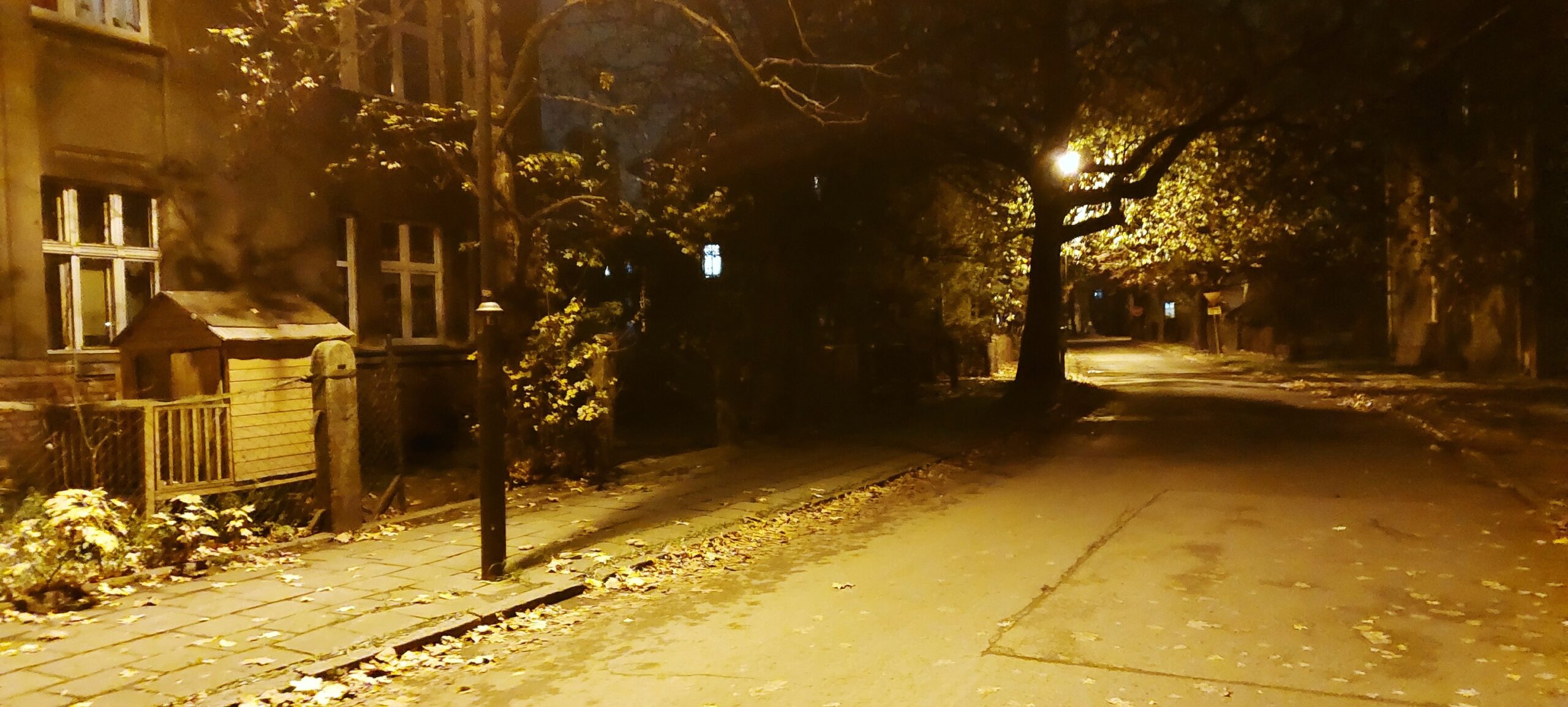 316126935_505363651626925_1925763891736746789_n