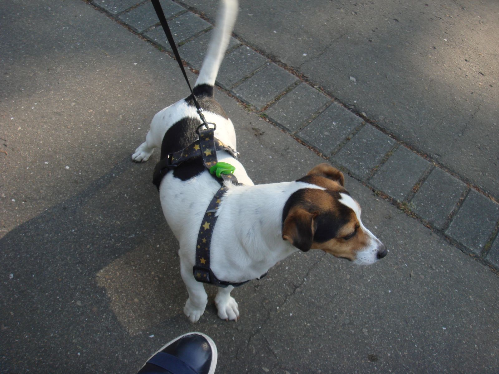 piknik-w-kregu-asia0199