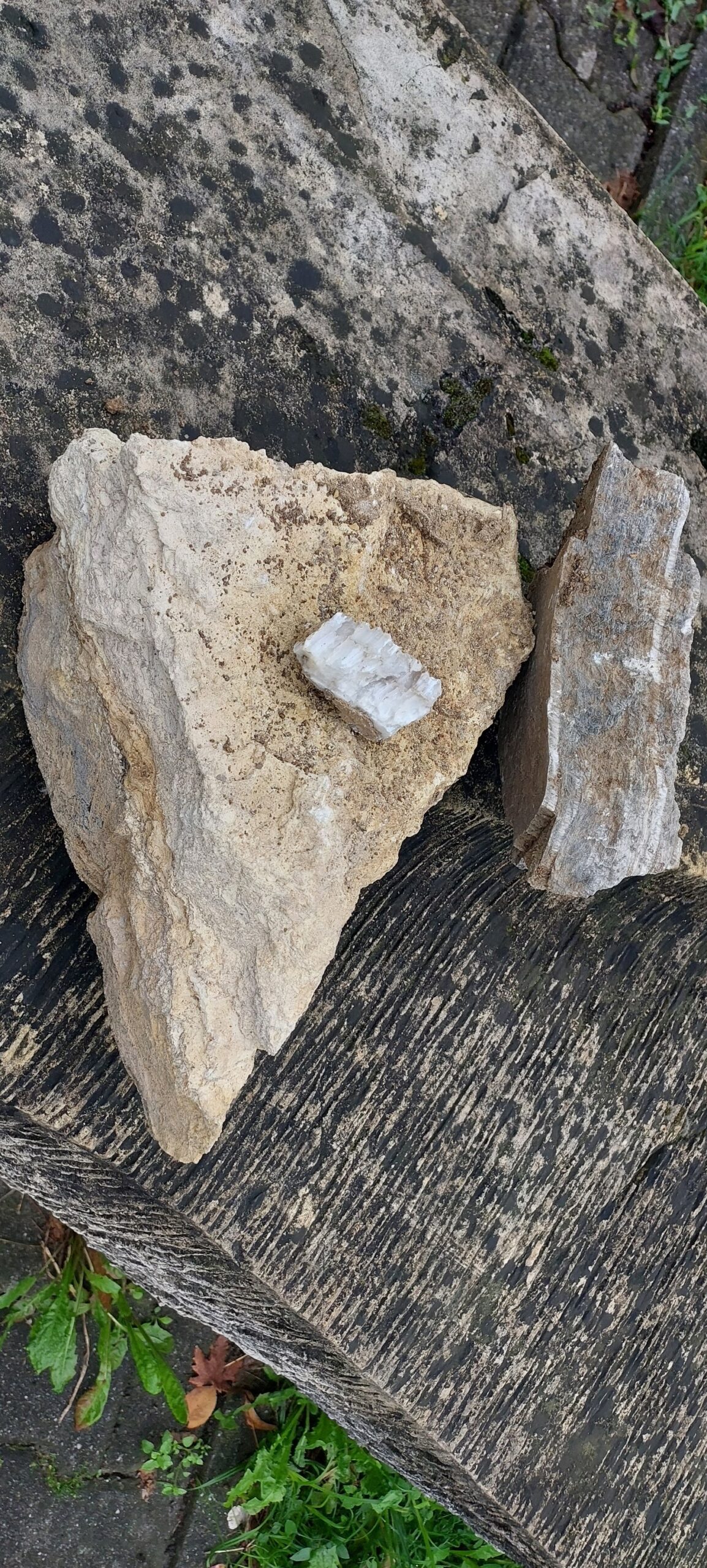 372900072_688455113317777_8742057279126868483_n