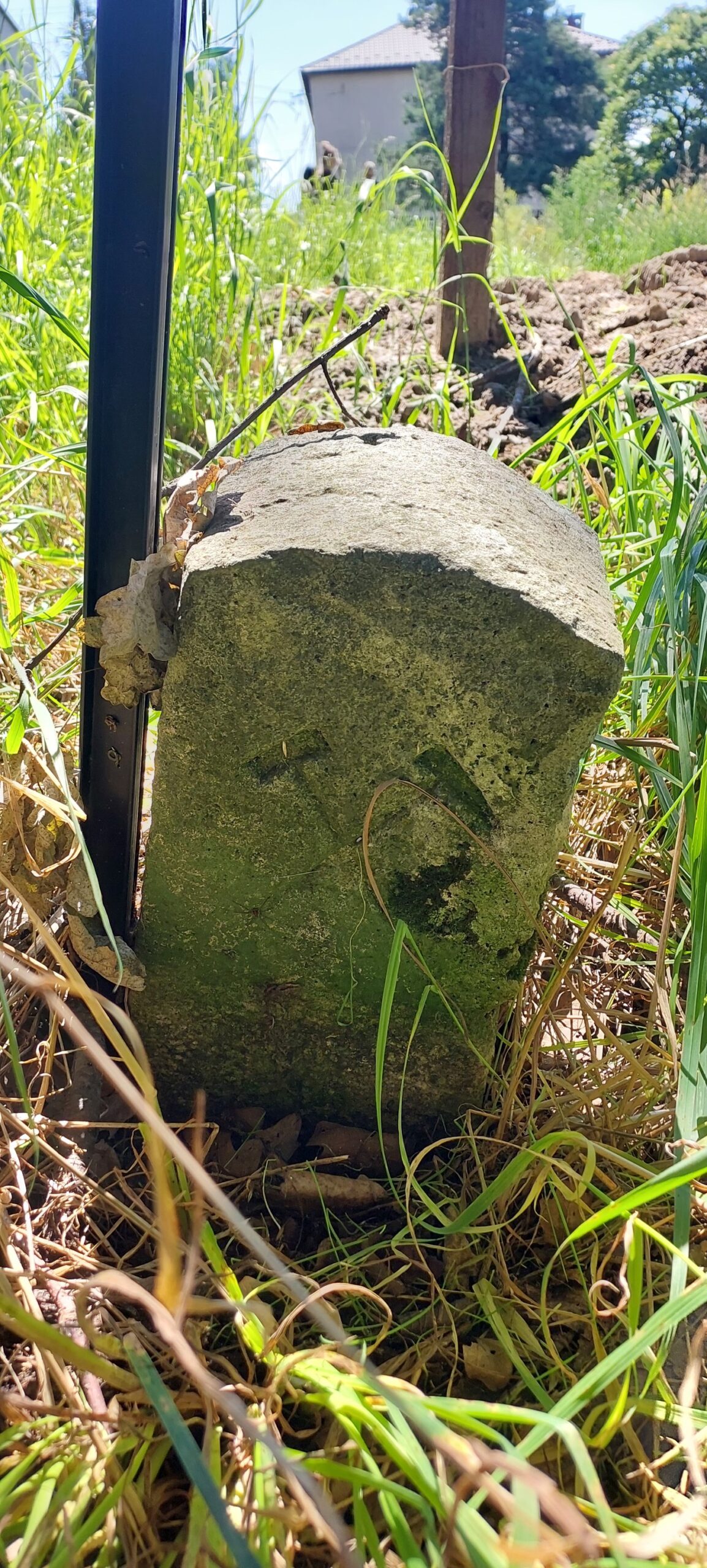 372915121_688455056651116_8601367901560152660_n