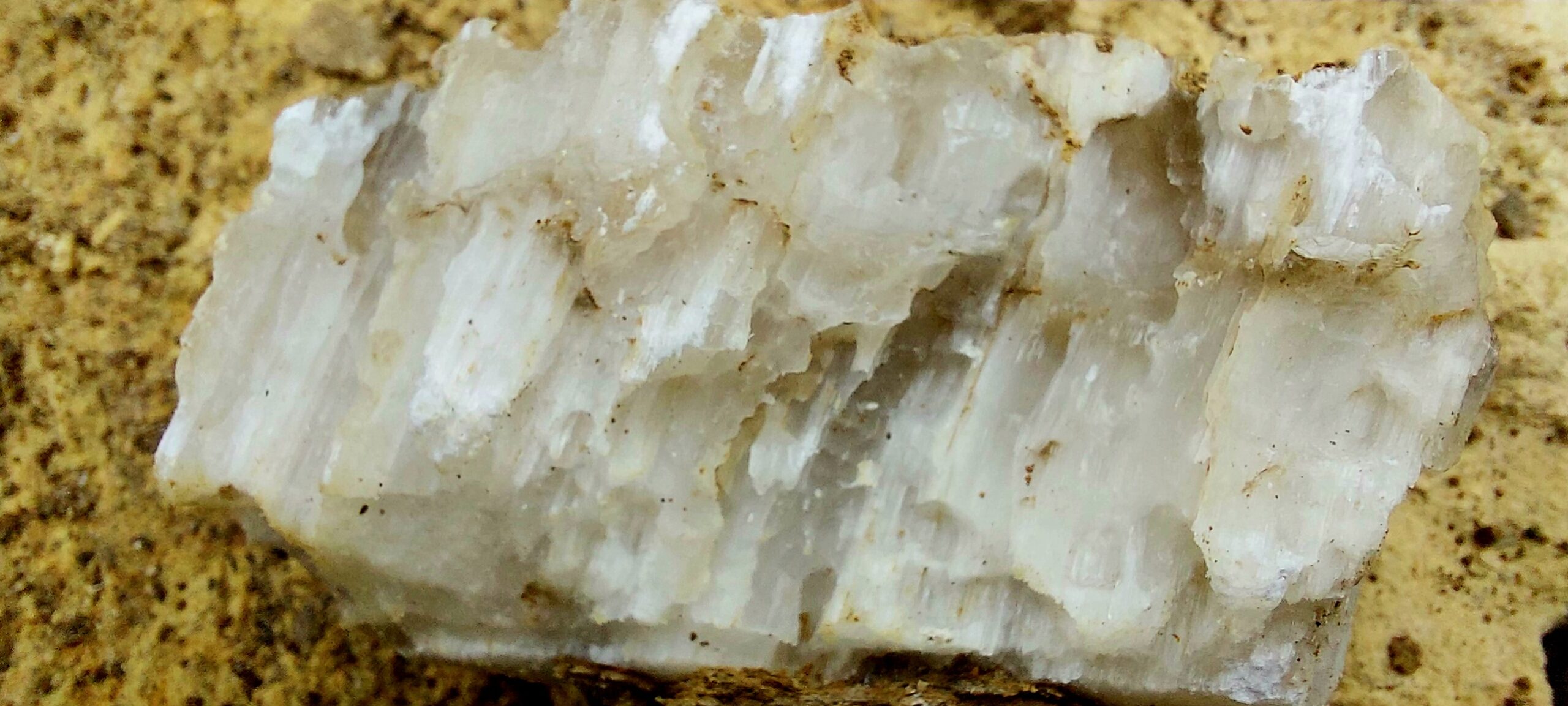 372917838_688455136651108_325244059524542106_n