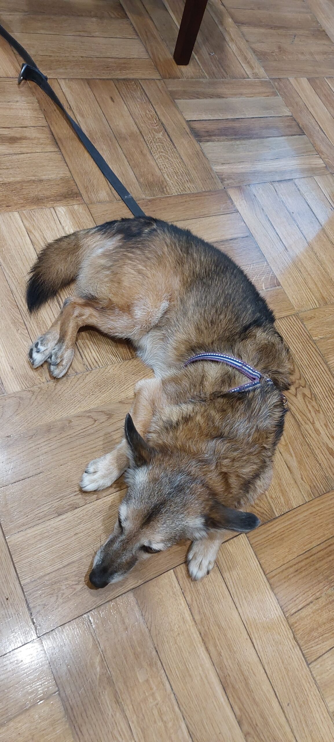 372918266_688455733317715_5790938533636215104_n