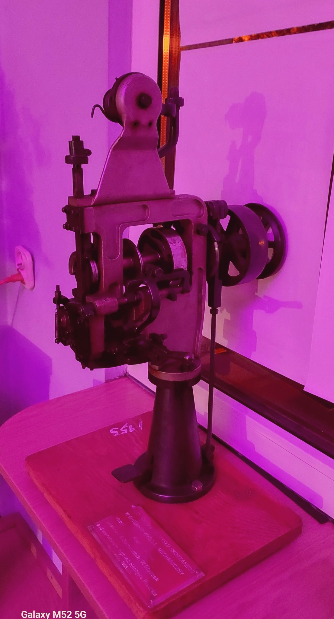 403860128_739773224852632_2026411155842836323_n